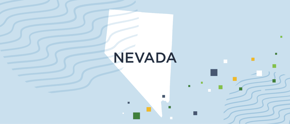 A guide to Nevada background checks
