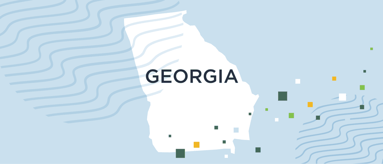 A guide to Georgia background checks