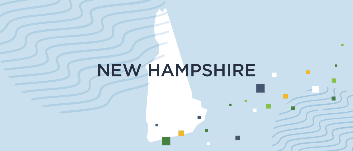 A guide to New Hampshire background checks