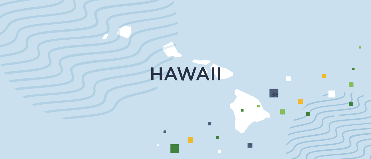 A guide to Hawaii background checks