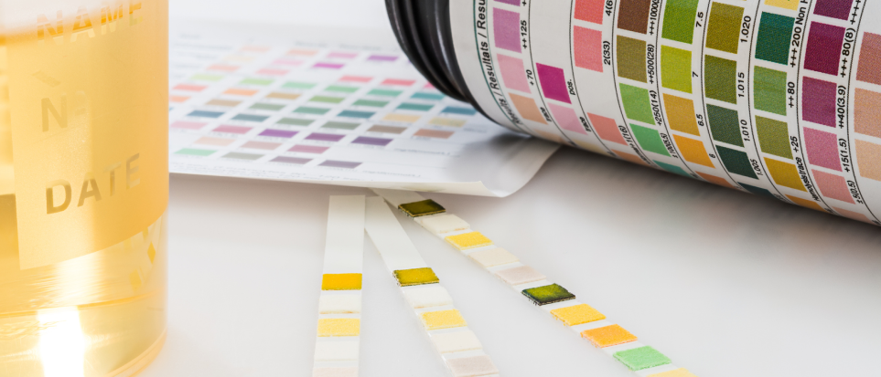 Best Buy Drug Test Policy 2024 5-Panel Drug Tests: Everything You Need to Know | GoodHire