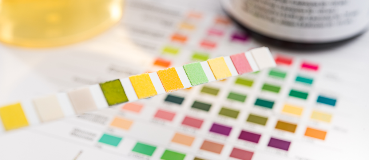 Complete Guide To 10 Panel Drug Tests GoodHire Complete Guide To 10 Panel Drug Tests GoodHire