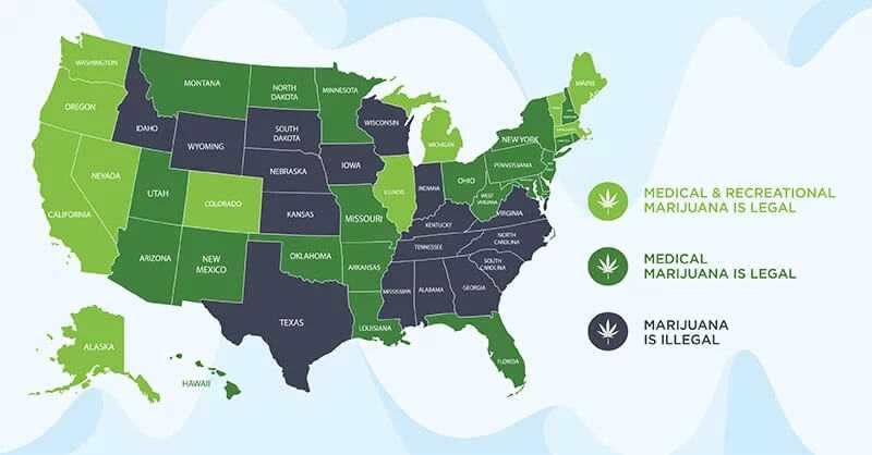 map of United States shows 33 states have legalized marijuana for medical use, and 11 states for recreational use