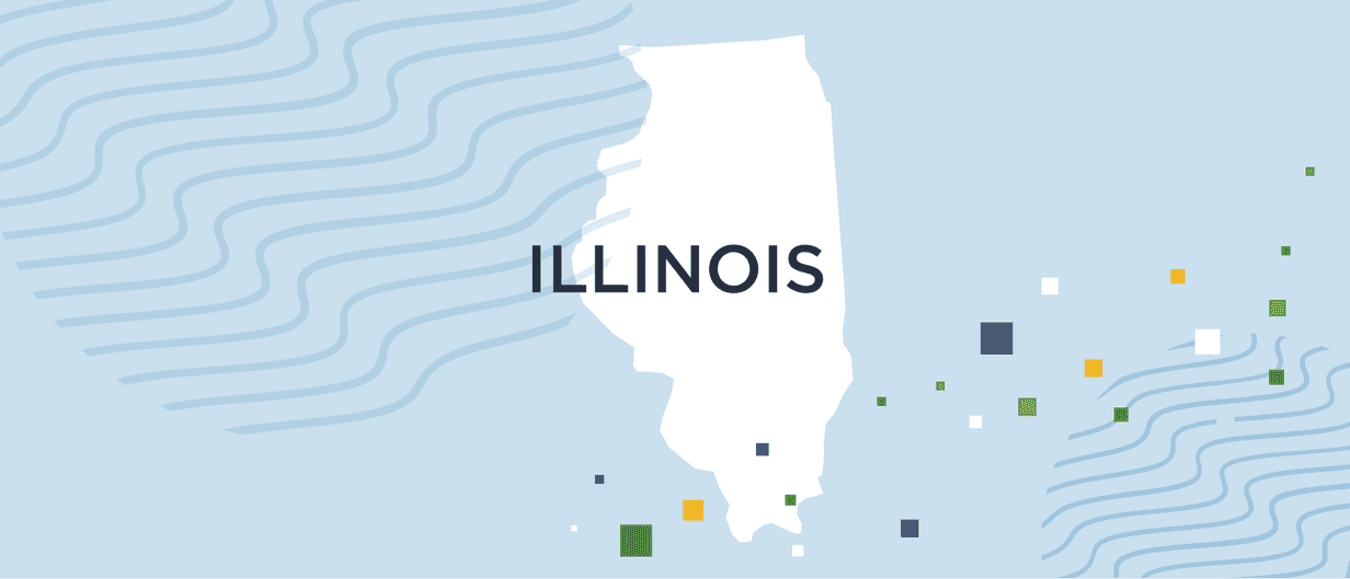 A guide to Illinois background checks
