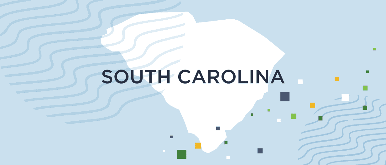A guide to South Carolina background checks