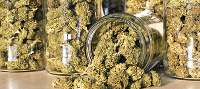 State of Marijuana Legislation in 2022