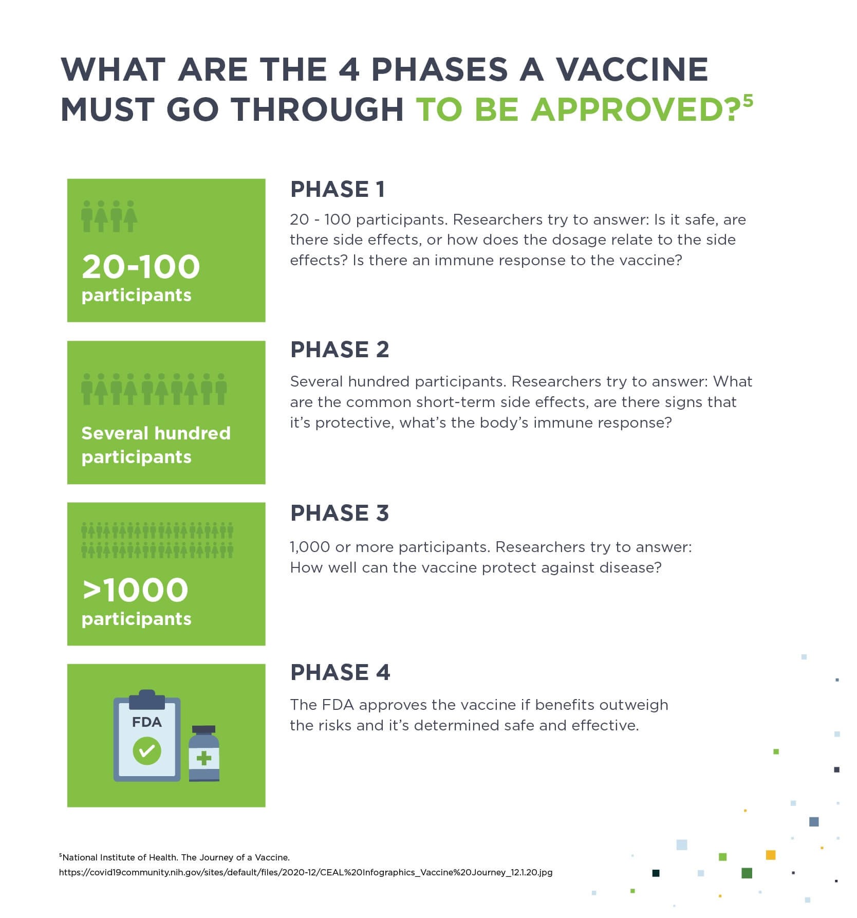 Illustration shows how the covid vaccine is made and the 4 phases it goes through for approval.