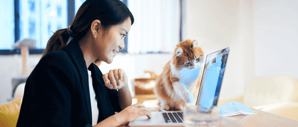 A woman is working remote at her home office with laptop and cat.