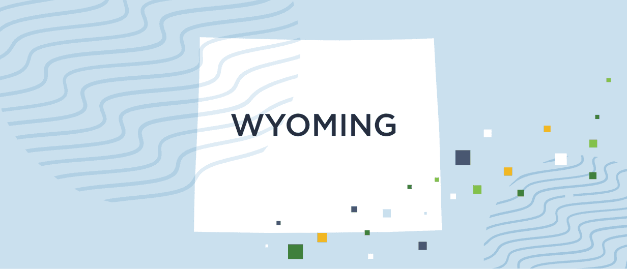 A guide to Wyoming background checks