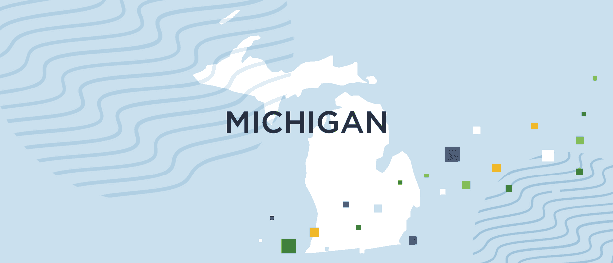 A guide to Michigan background checks