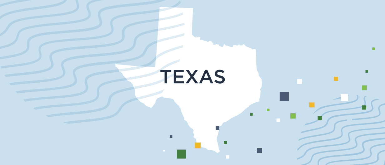 A guide to Texas background checks